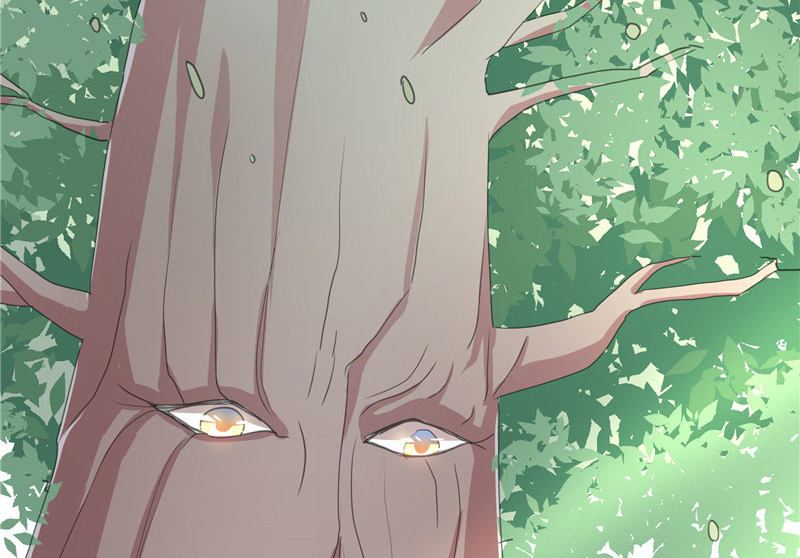 第31话 树妖的孩子(1/2)-第31话