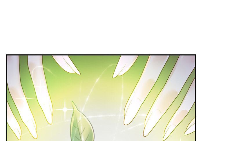 第31话 树妖的孩子(1/2)-第31话