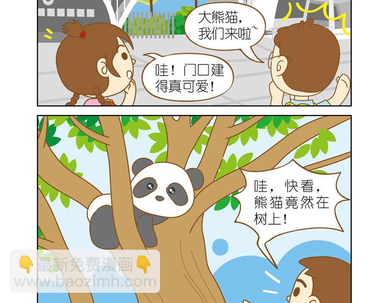 四耳猴探险记 - 国宝大熊猫 - 5