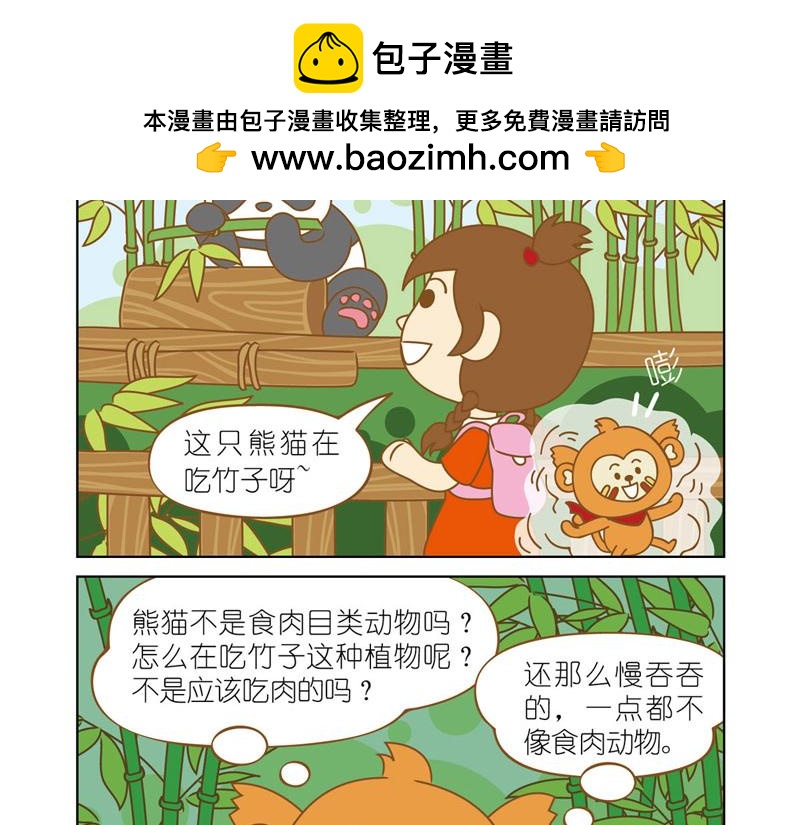 四耳猴探险记 - 国宝大熊猫 - 3