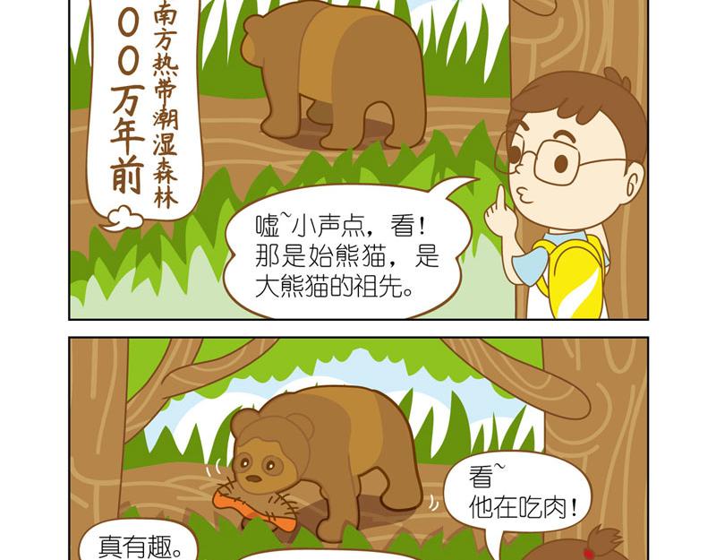 四耳猴探险记 - 国宝大熊猫 - 2