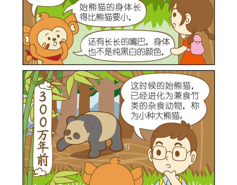 四耳猴探險記 - 國寶大熊貓 - 3