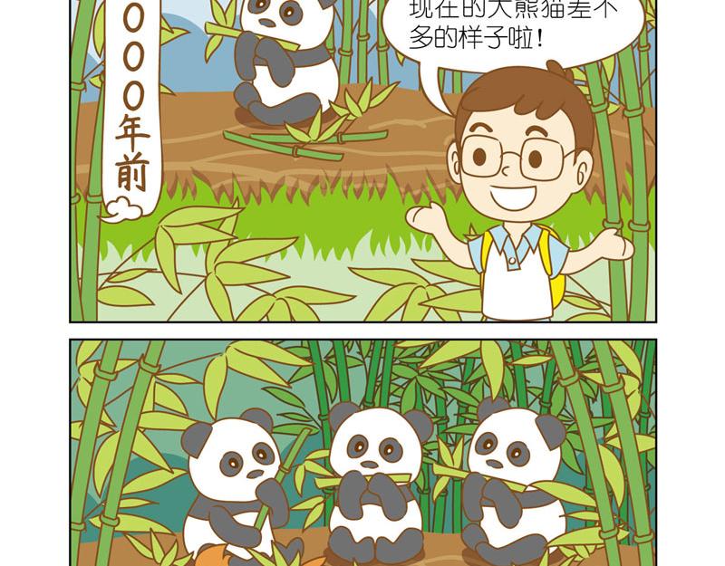 四耳猴探险记 - 国宝大熊猫 - 1