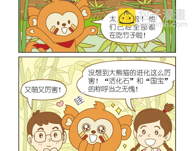 四耳猴探險記 - 國寶大熊貓 - 2