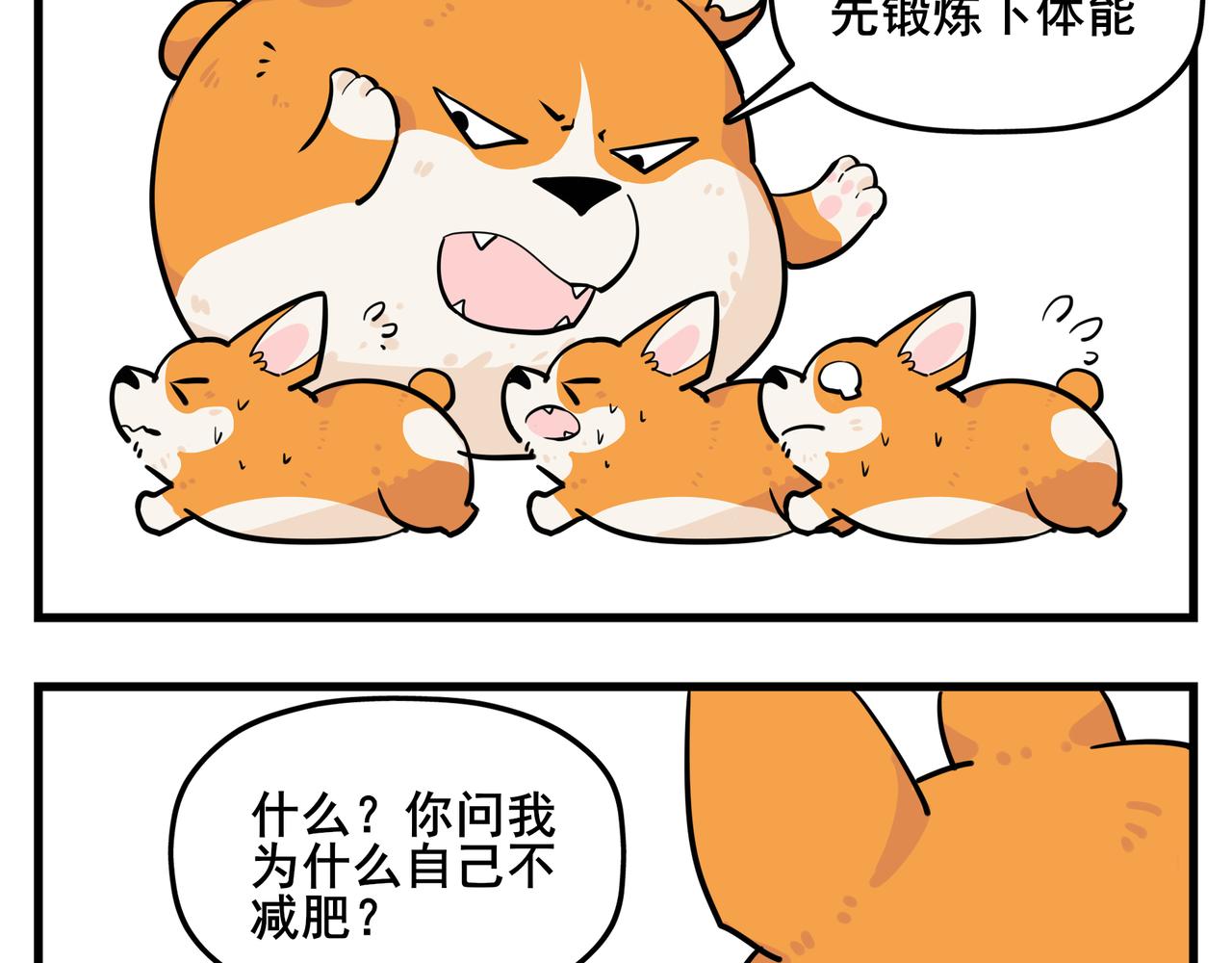 司基拉 - 司基拉的訓練 - 2