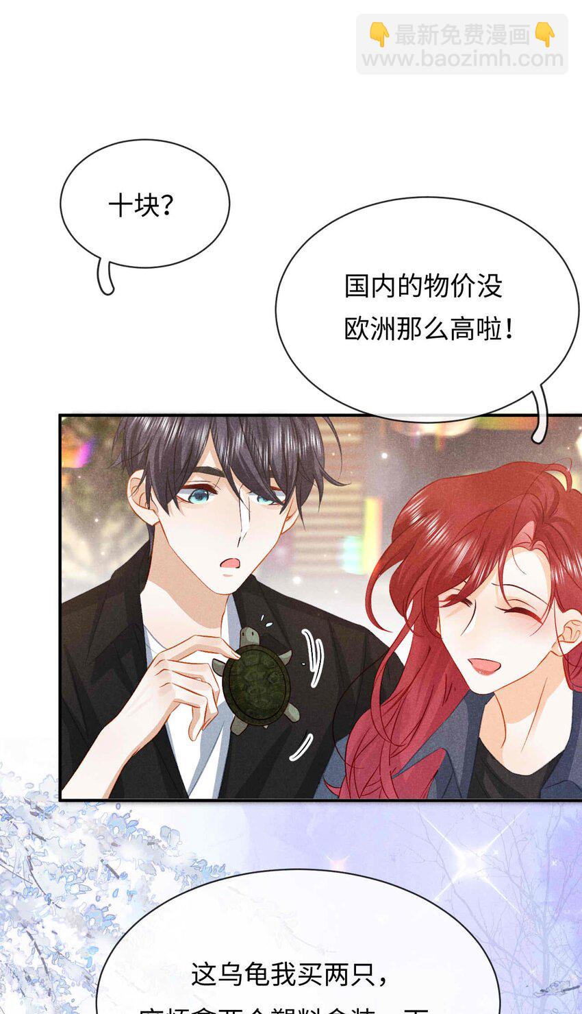 034 第三十四话 呆呆和笨笨-第37话