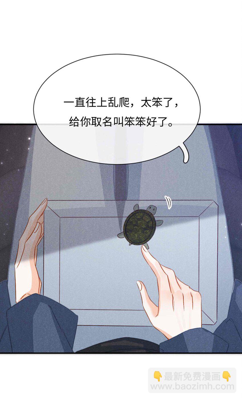 034 第三十四话 呆呆和笨笨-第37话