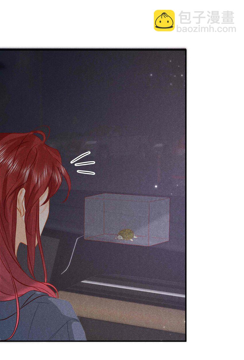 034 第三十四话 呆呆和笨笨-第37话