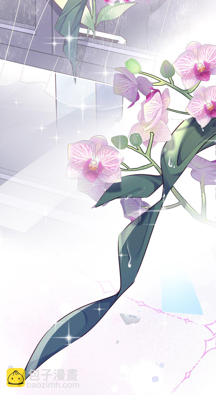 私人訂製的你 - 043 兩……兩個金蘭殊？(1/2) - 8