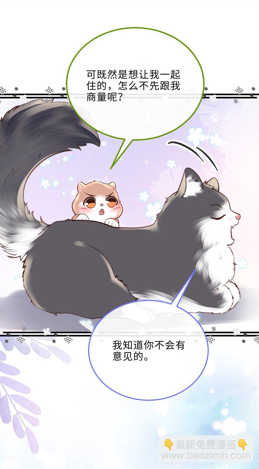 私人訂製的你 - 080 金總的行動力真強啊！ - 5