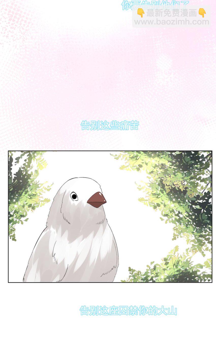 020 跟我走吧(1/2)-第27话