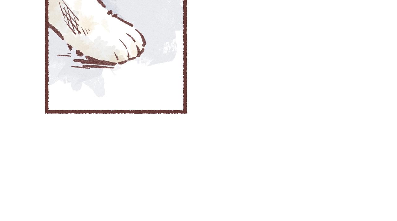 你是鱼么？？(1/3)-第17话