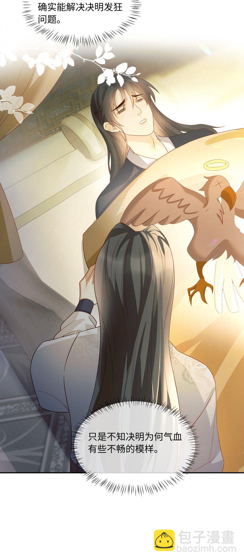 11 两只狐狸-第11话