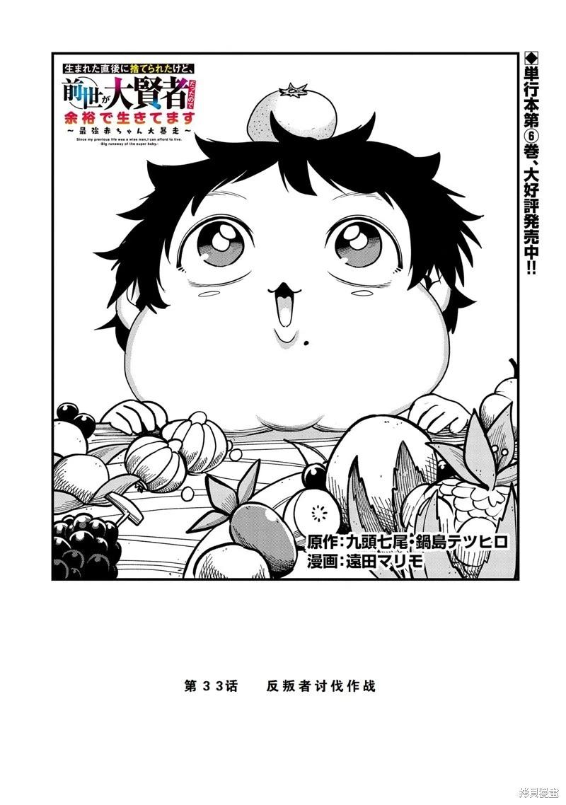 虽然刚出生就被抛弃了，可毕竟前世是大贤者，就淡定地活下去吧 第33话