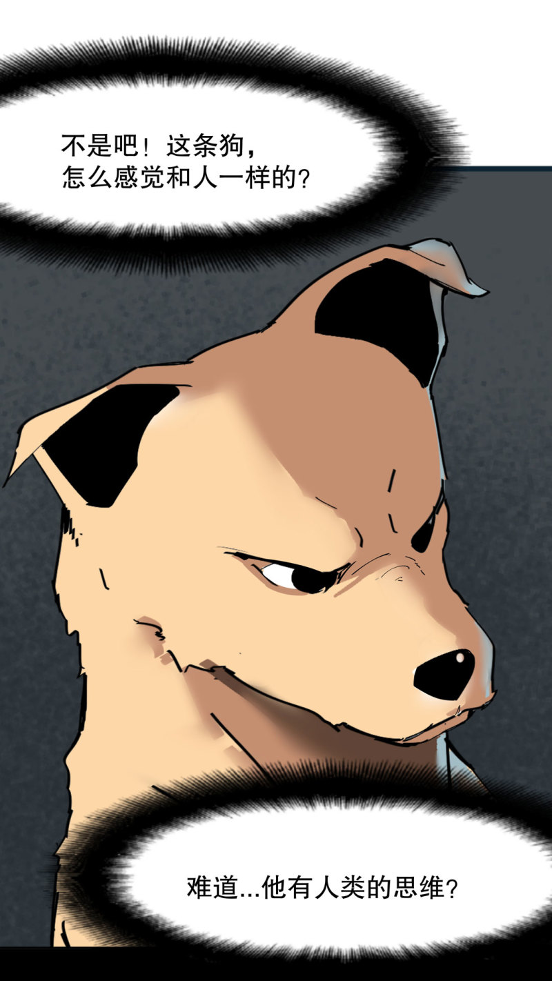 第37话 这条狗是付三通？(1/2)-第37话