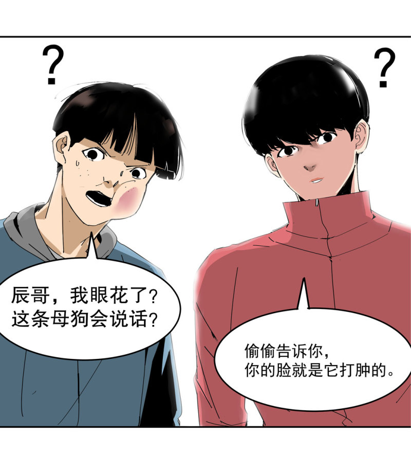 第37话 这条狗是付三通？(1/2)-第37话