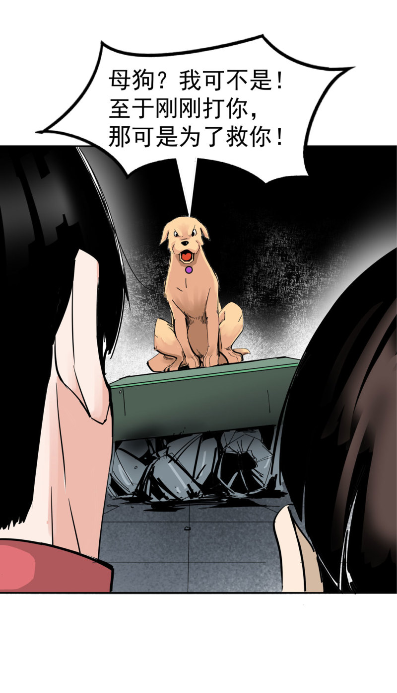 第37话 这条狗是付三通？(1/2)-第37话