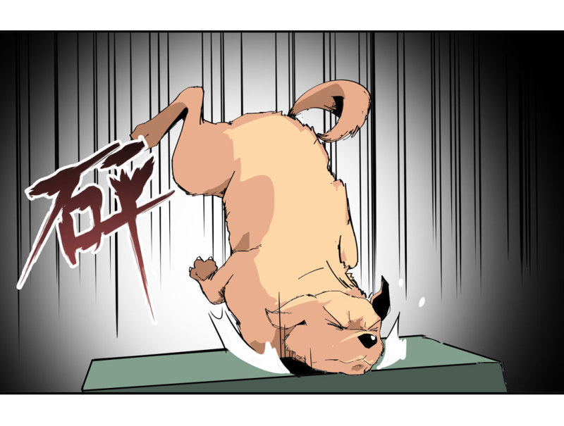 第37话 这条狗是付三通？(1/2)-第37话