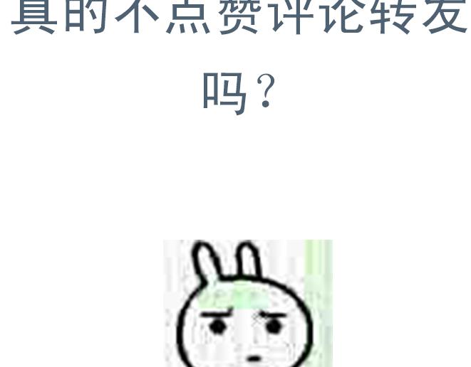 第16话 雪地里的对视-第15话