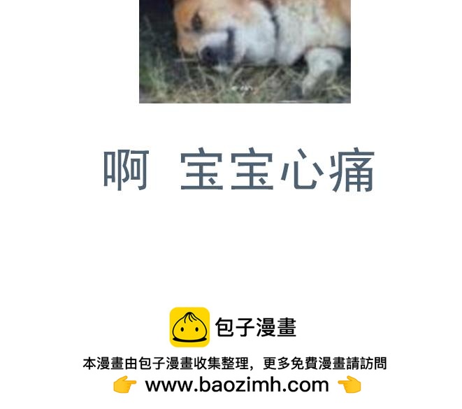 第16话 雪地里的对视-第15话