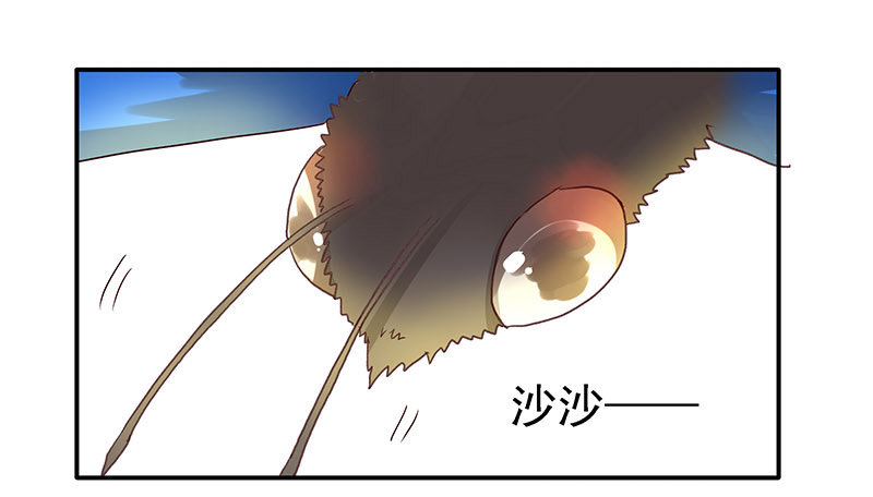 你不要管我-第11话