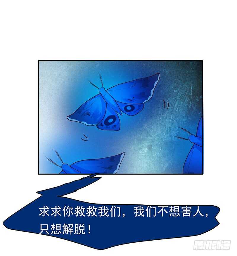 落毛凤凰不如鸡-第49话