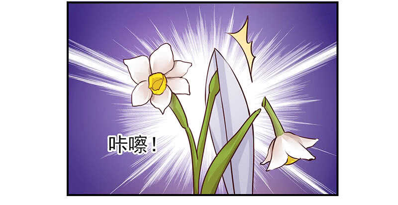 红颜祸水(1/2)-第61话