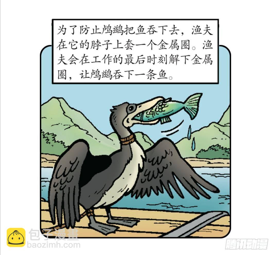 小龙卡迪-第17话