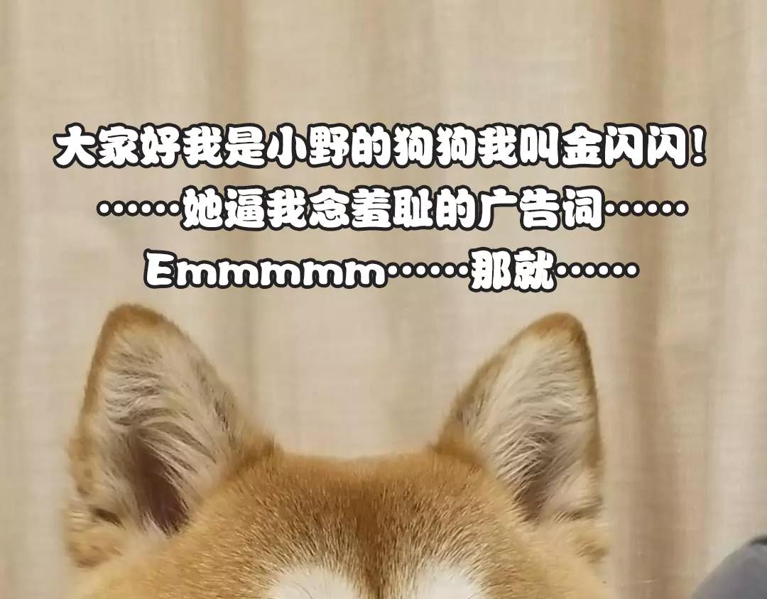 他從雨中來 - 第26話 爲你彈琴(2/2) - 2