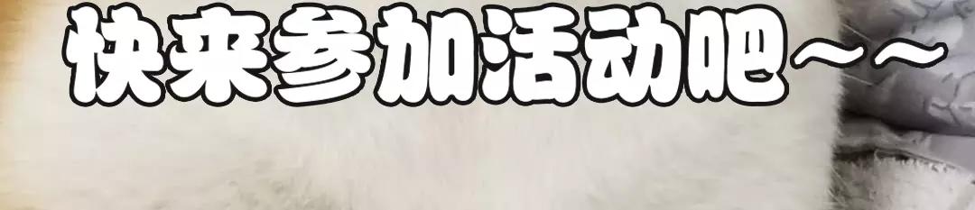 他從雨中來 - 第26話 爲你彈琴(2/2) - 1