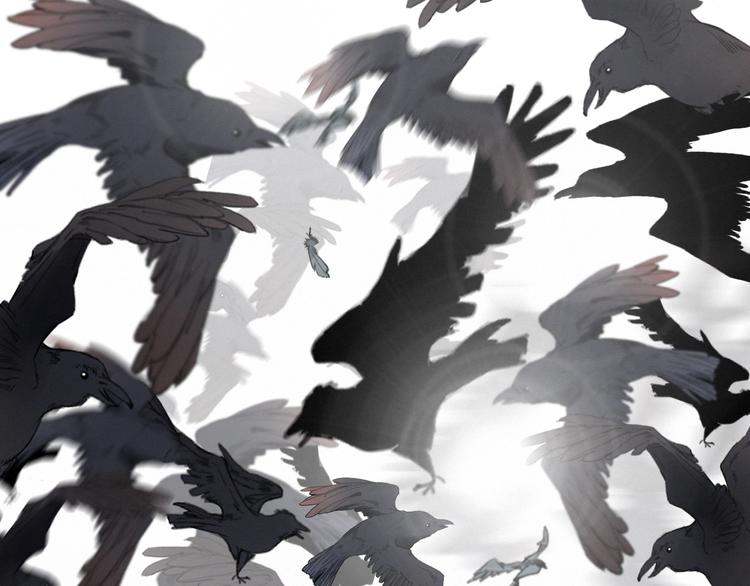 他從雨中來 - 逆羽序章，關注新專題！(2/2) - 5