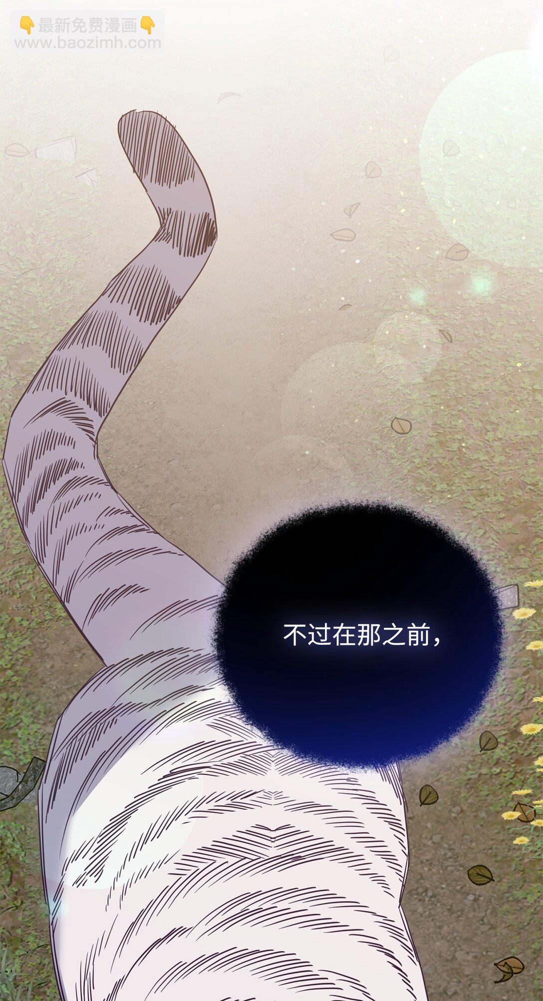 41 美丽的白虎(1/3)-第41话