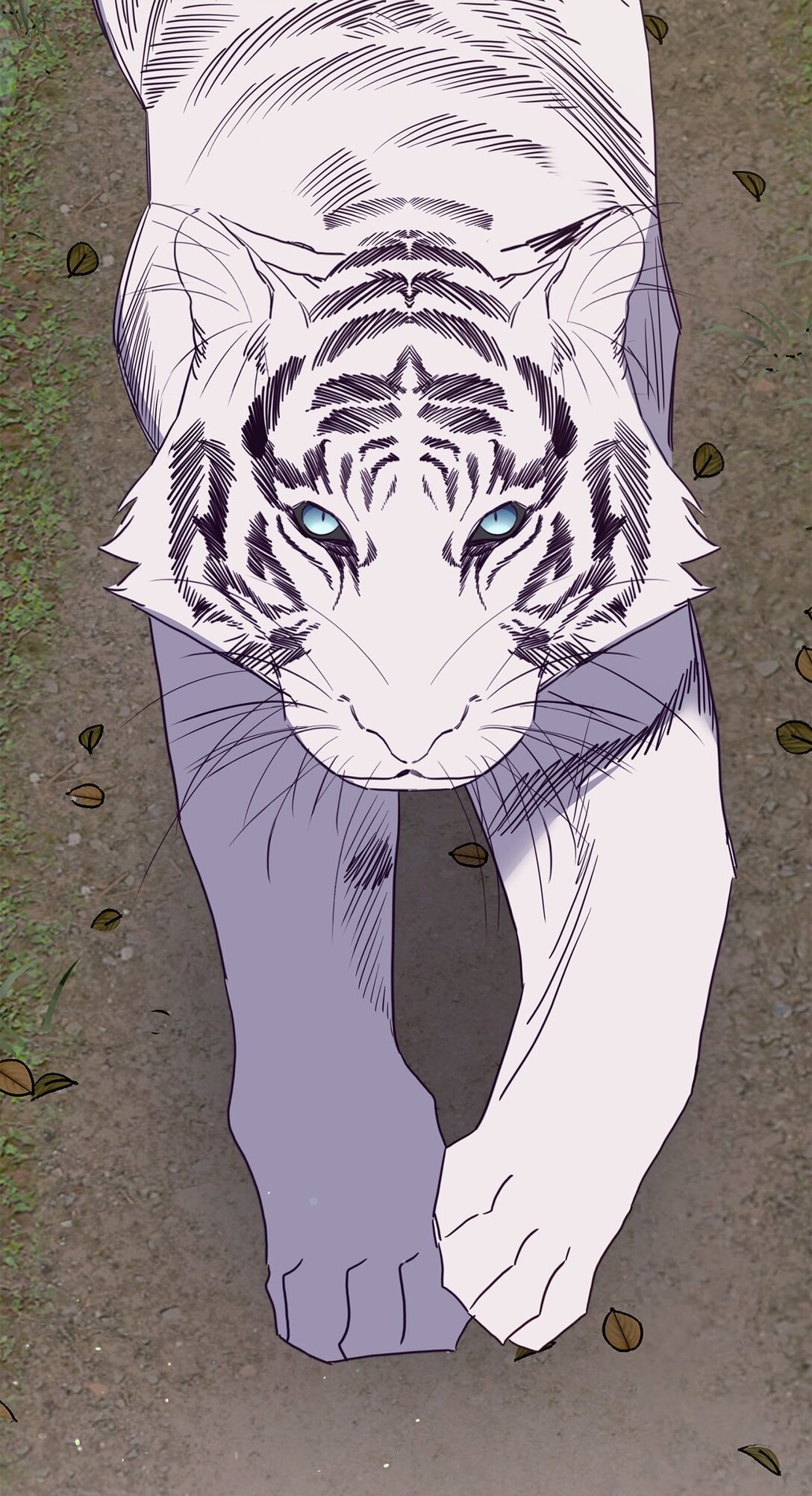 41 美丽的白虎(1/3)-第41话