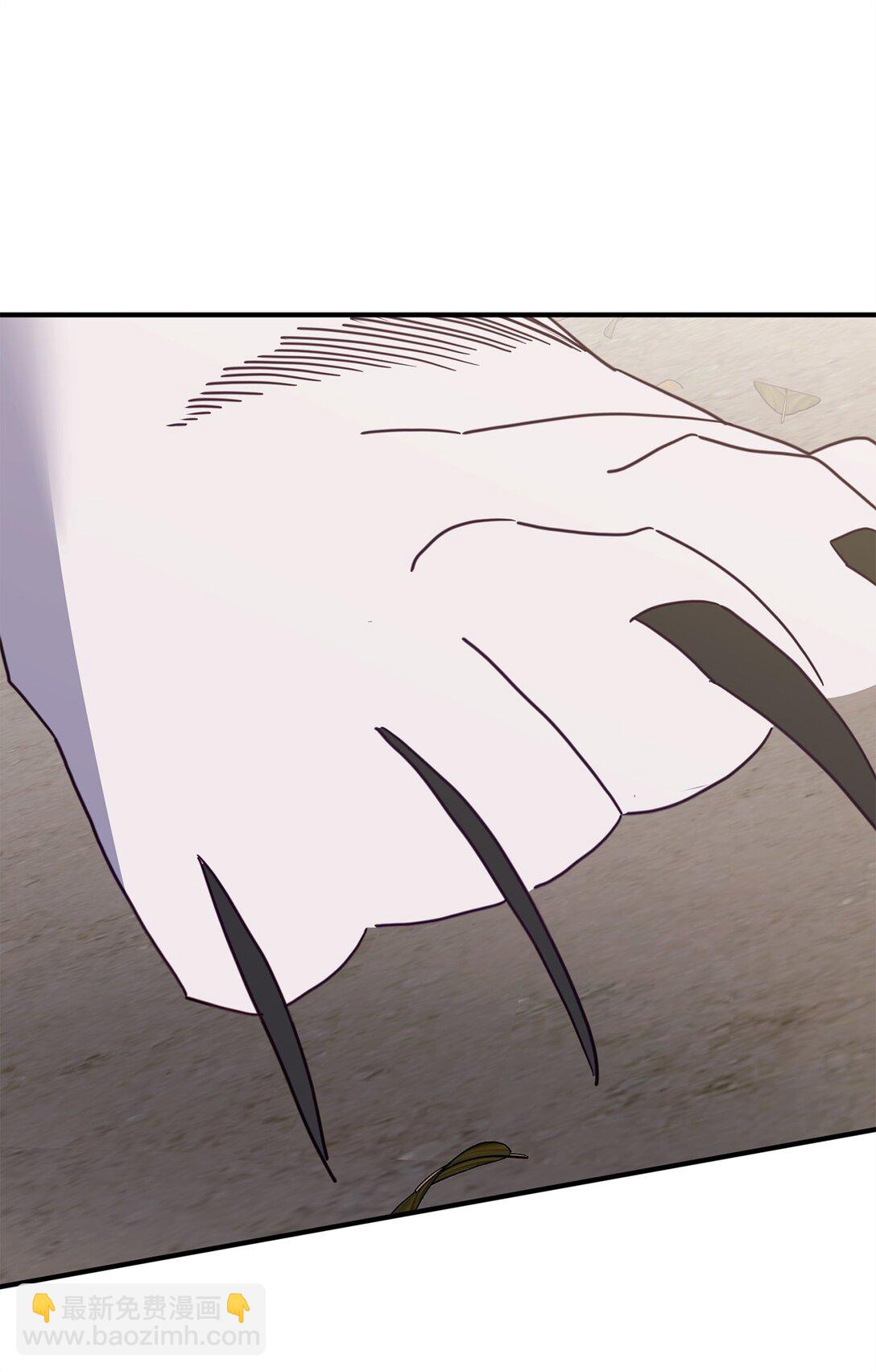 41 美丽的白虎(1/3)-第41话