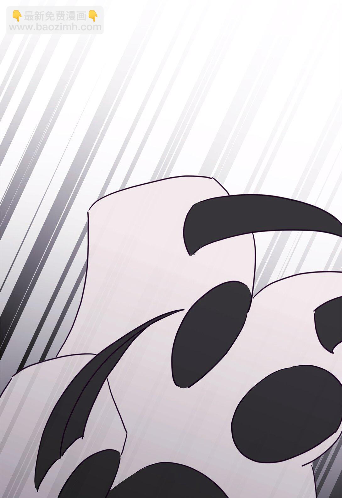 41 美丽的白虎(1/3)-第41话