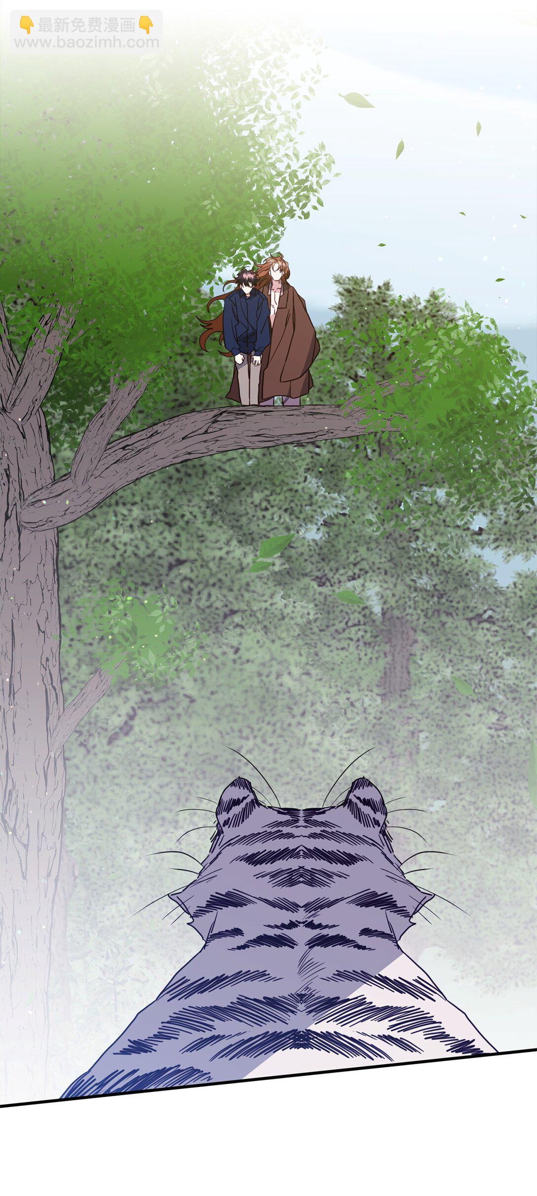 41 美丽的白虎(1/3)-第41话