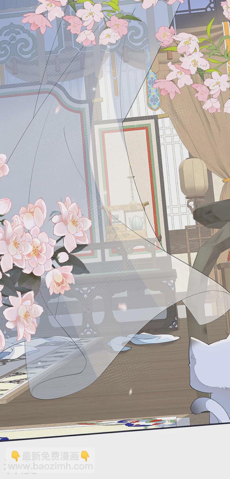 第179话 猫咪踩奶-第173话