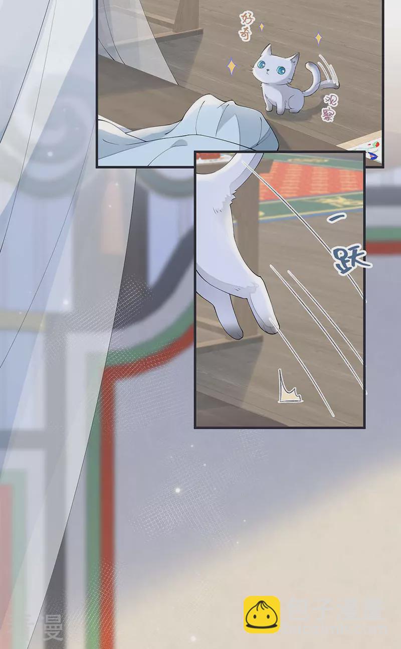 第179话 猫咪踩奶-第173话