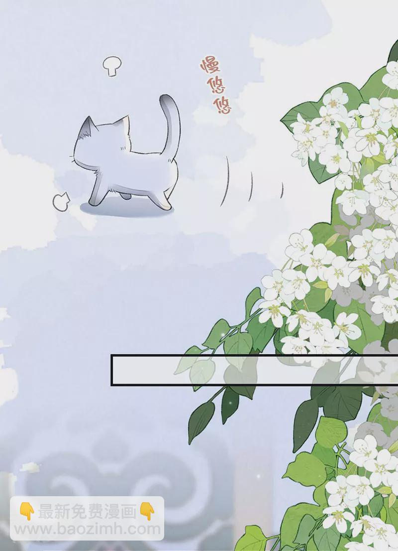 第179话 猫咪踩奶-第173话