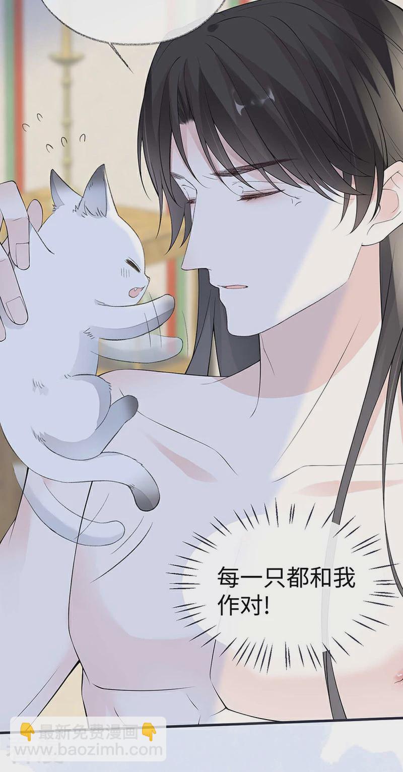 第179话 猫咪踩奶-第173话