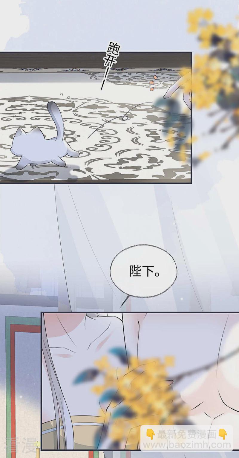 第179话 猫咪踩奶-第173话