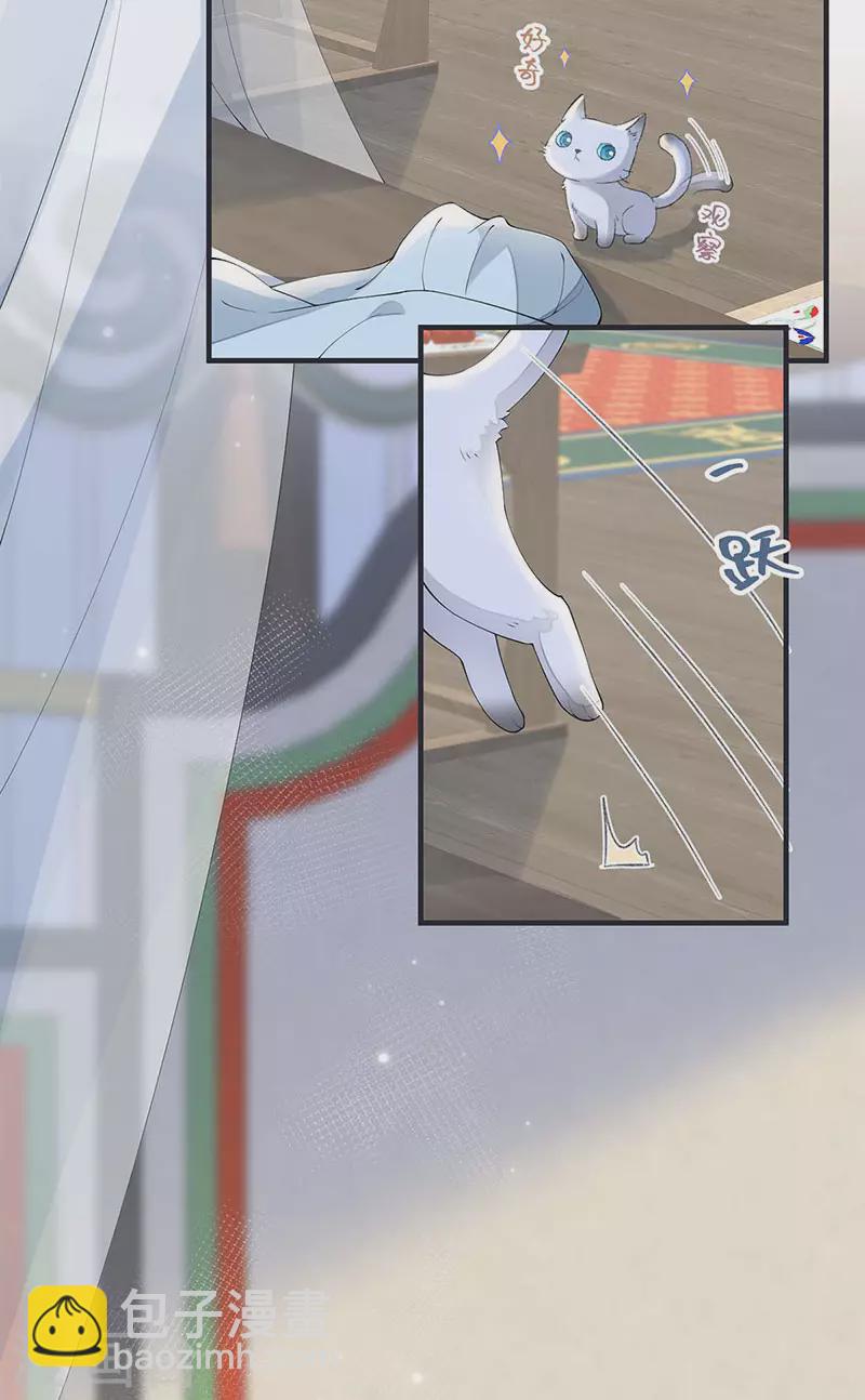 第179话 猫咪踩奶-第181话