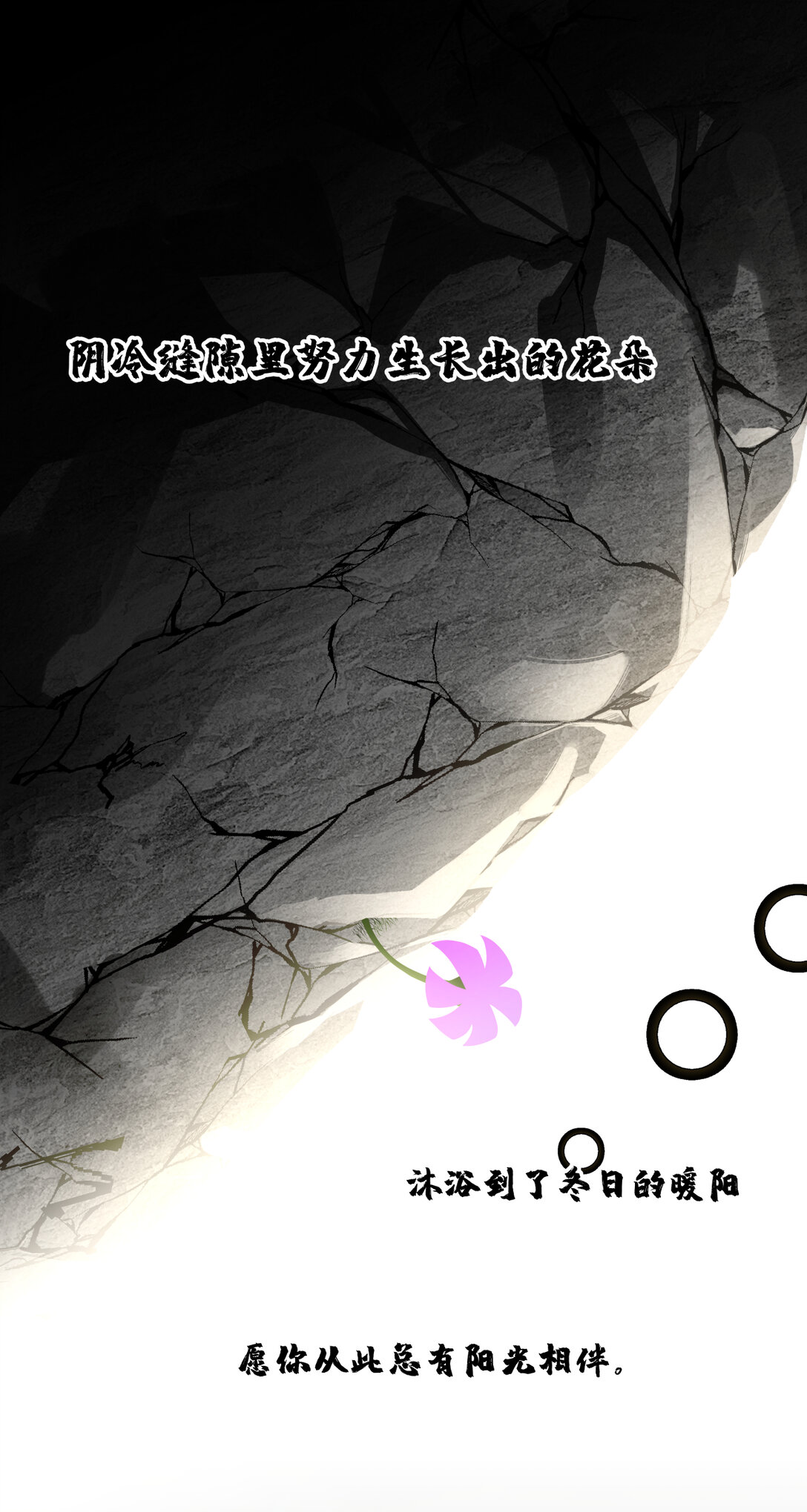 014 星星(1/2)-第15话