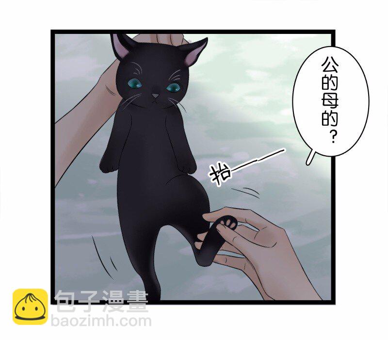 033 喵国师-第37话