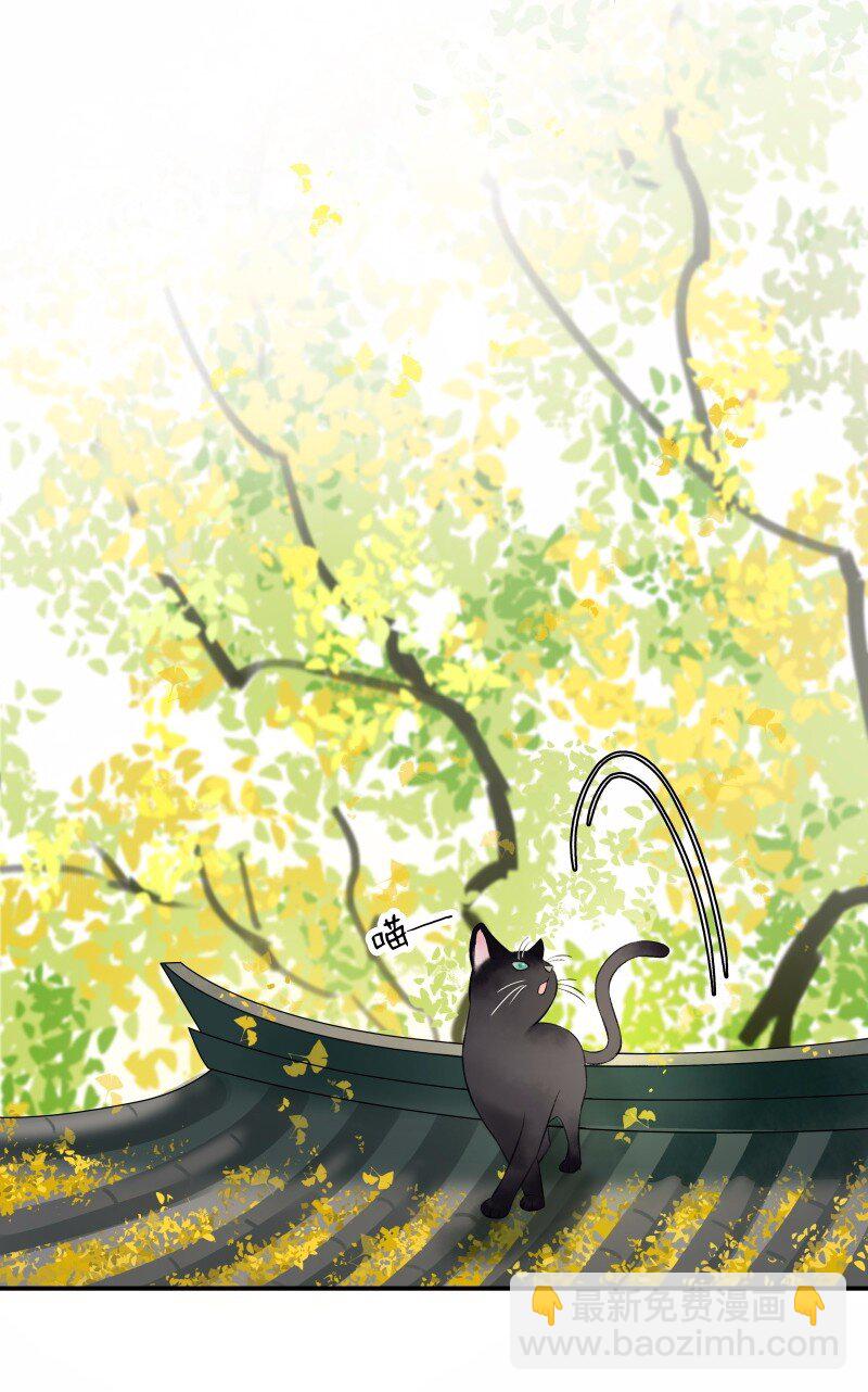 033 喵国师-第37话