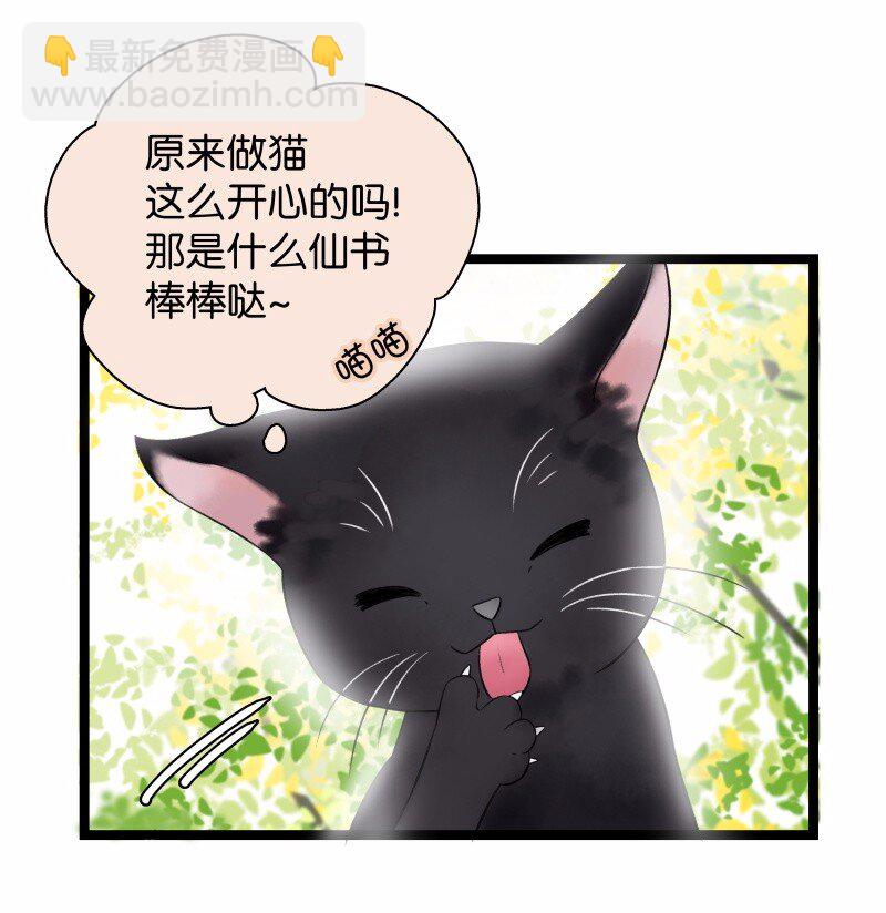 033 喵国师-第37话