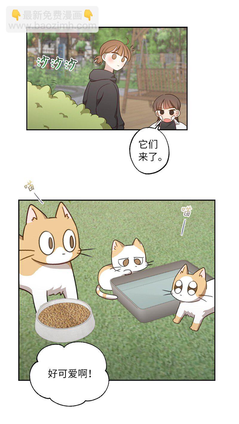 她們的秘密 - 51 想要靠近一點(1/2) - 3