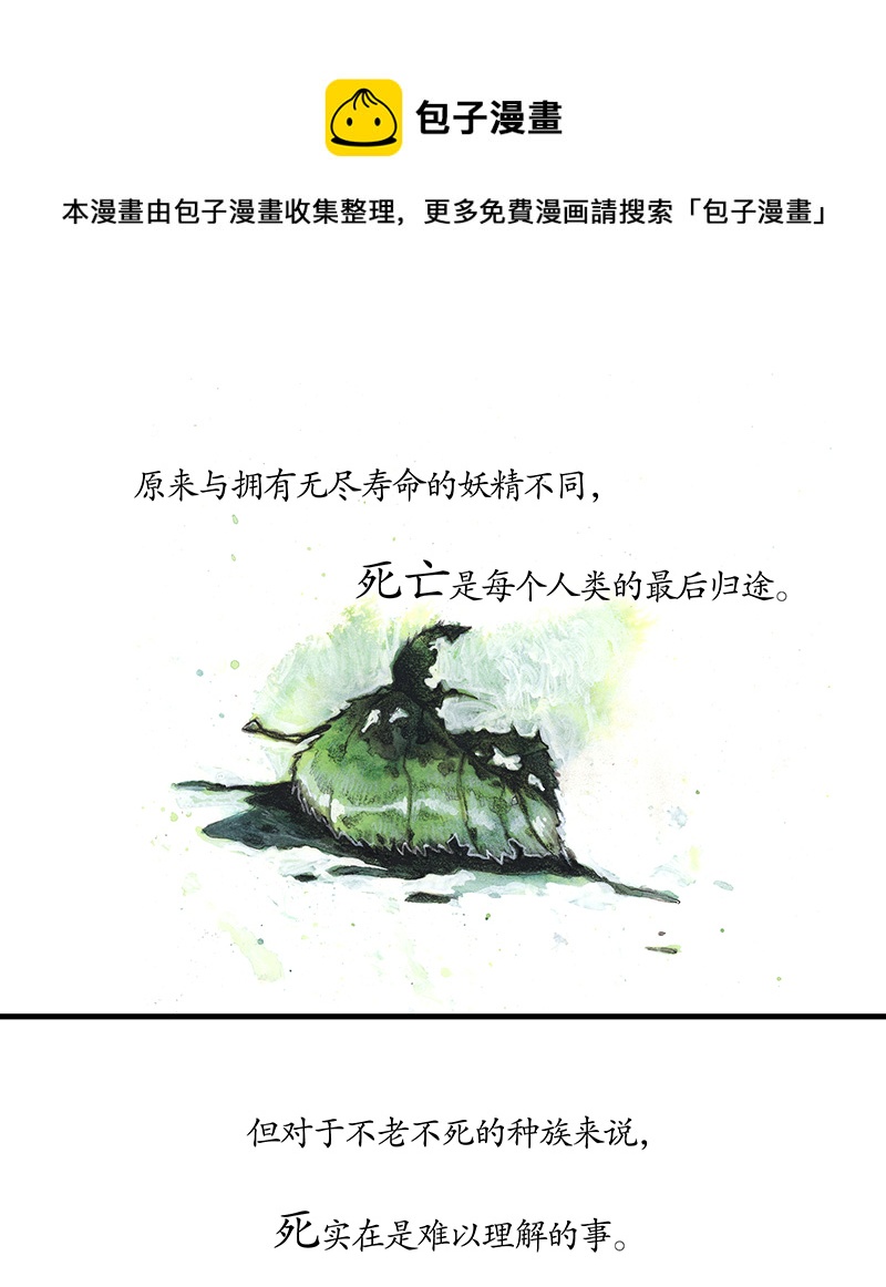 29 实习吟游诗人II(1/2)-第29话