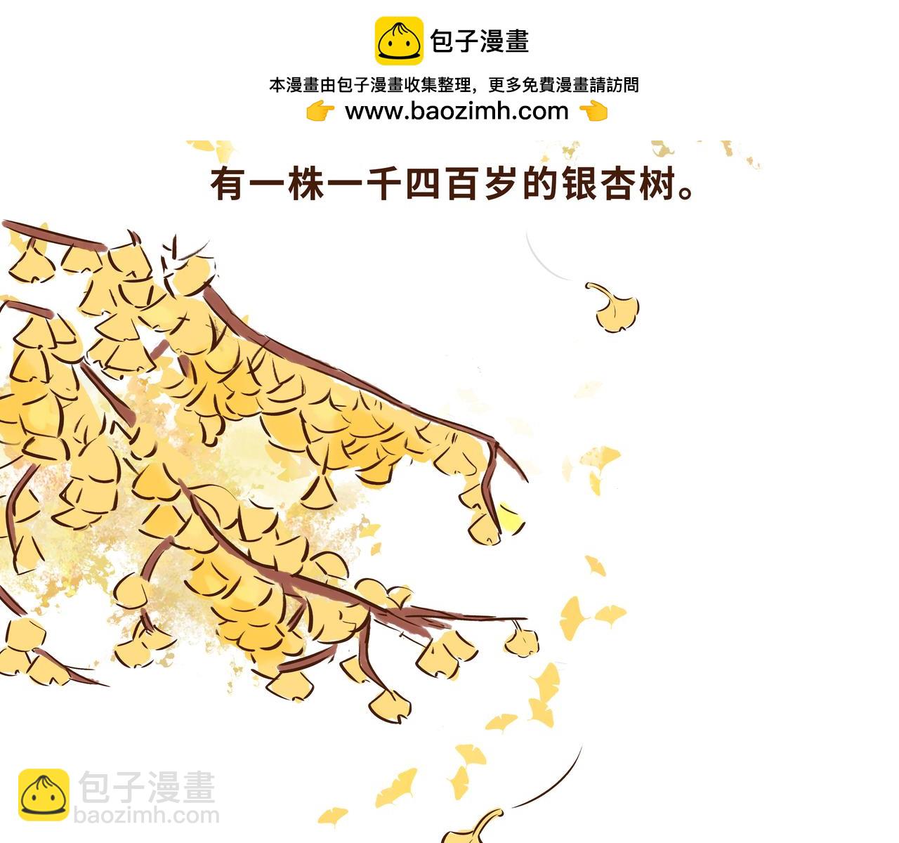 火遍外网的千年银杏树的故事(1/2)-第13话