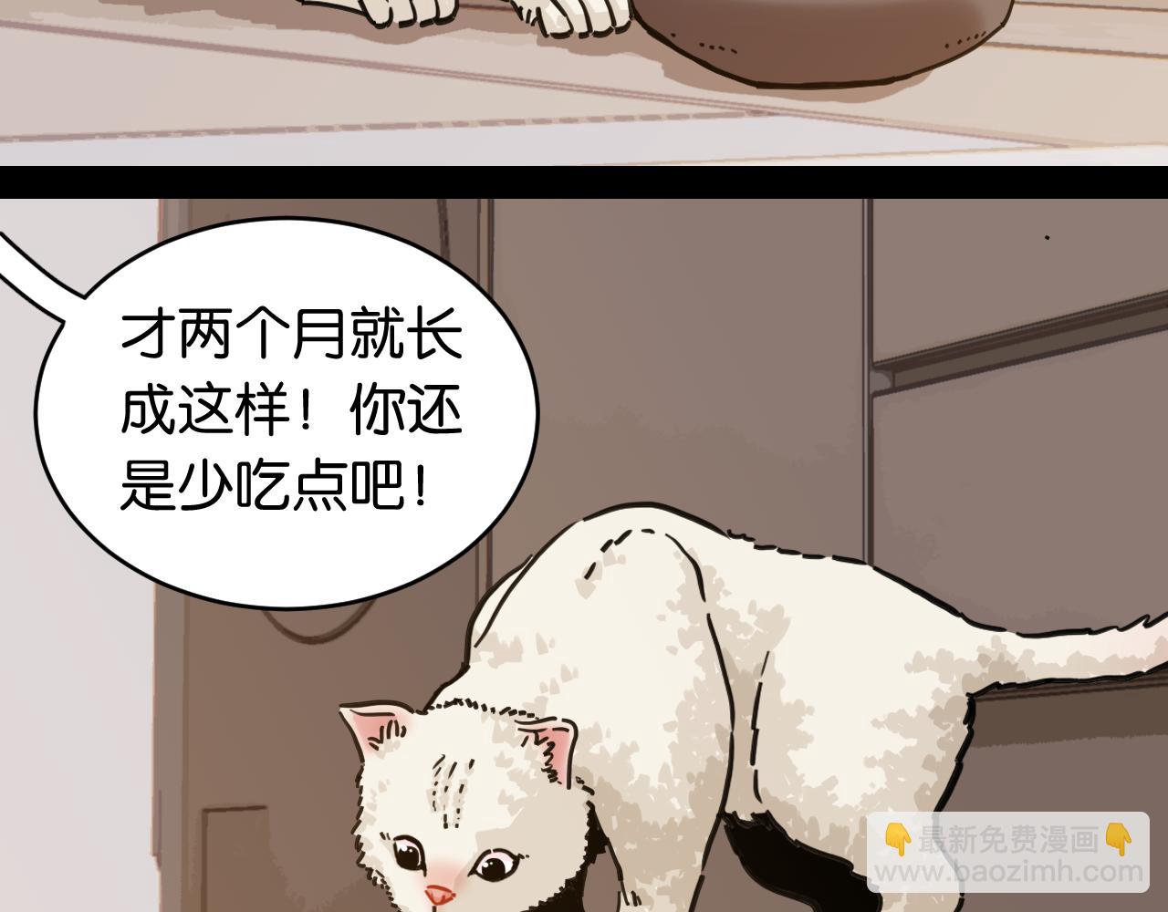 桃與末世之書 - 第178話 大貓(2/3) - 7